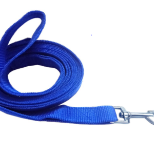 Nylon Dog Leash Strong and Durable for Walking and Running with Your Dogs.it is Easy to use with Dabble Handle and Neck Hook with Carabiner Leash for Large, Medium Dogs (10Ft, Blue)