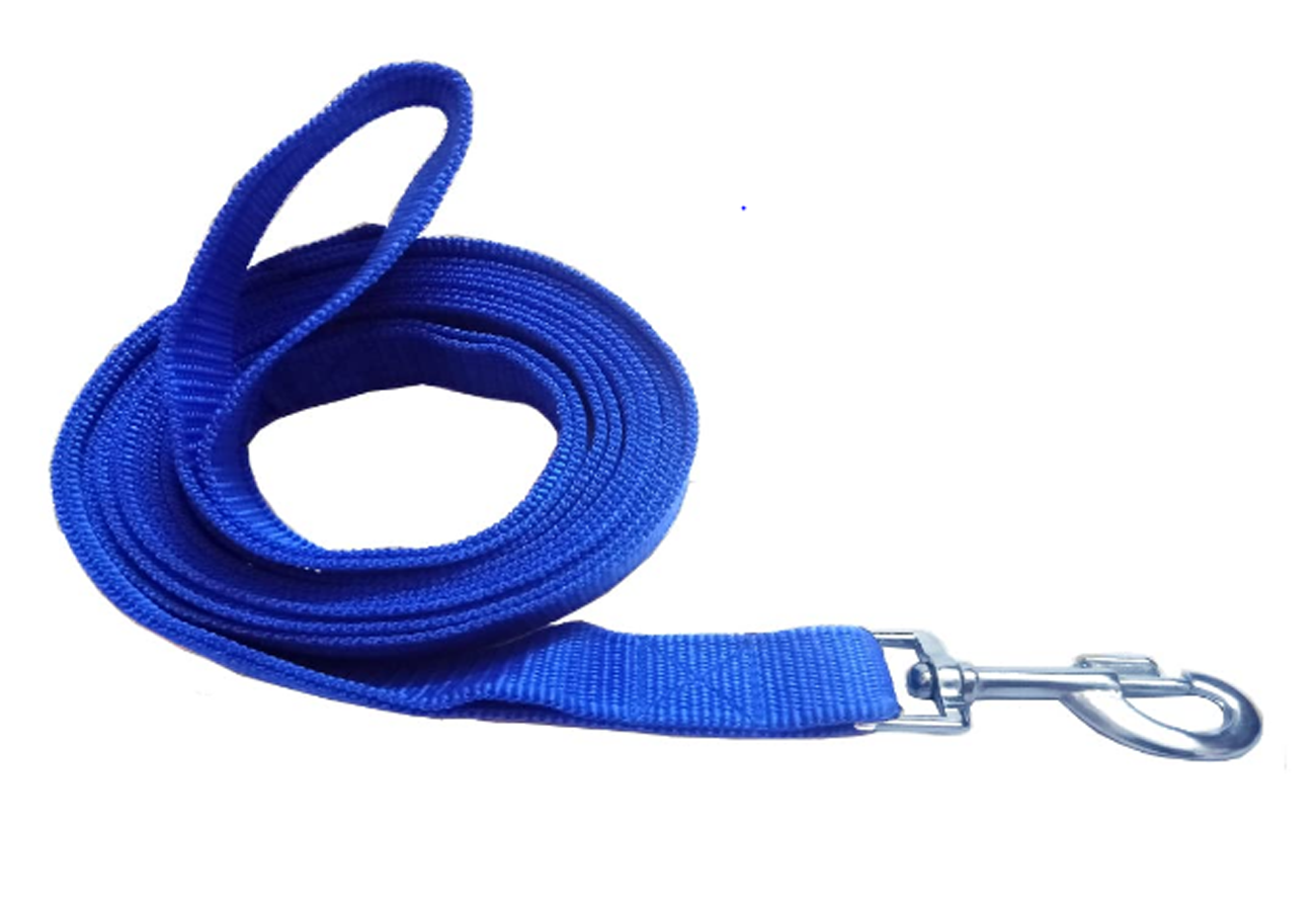 Nylon Dog Leash Strong and Durable for Walking and Running with Your Dogs.it is Easy to use with Dabble Handle and Neck Hook with Carabiner Leash for Large, Medium Dogs (10Ft, Blue)
