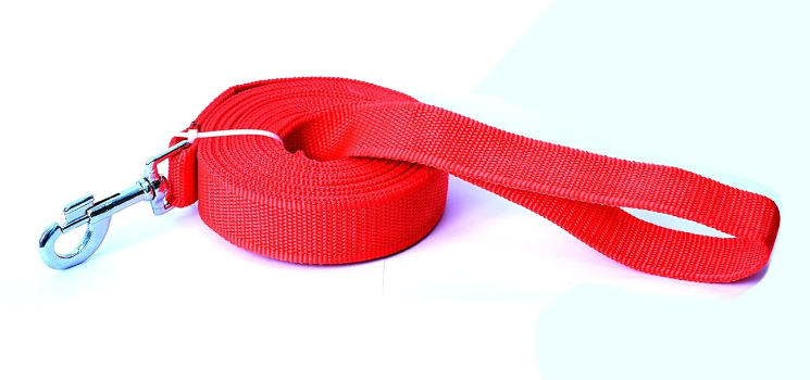 Nylon Dog Leash Strong and Durable for Walking and Running with Your Dogs.it is Easy to use with Dabble Handle and Neck Hook with Carabiner Leash for Large, Medium Dogs (10Ft, Blue) - Image 5