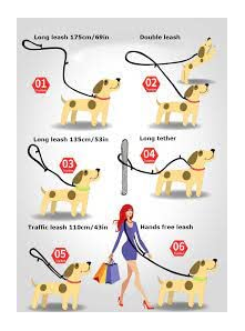 Nylon DUBIDU Nyllon Heavy Deuty Hands Free Dog Leash for Running Walking Long Tether Adjustable Multi-Function Traffic Two in One Dogs Leash - Image 4