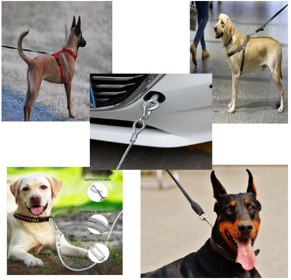 DUBIDU 7" ft Venyl Covered Cable Leash for Medium-Large Dogs. Water Proof Lead for All Sized Pets. Great for Yard, Camping, and Outdoors. Easy to use Excellent Look. (7ft) - Image 3