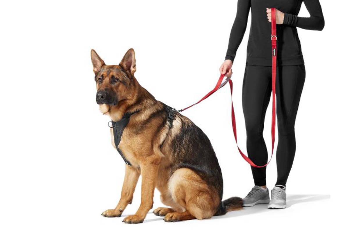 Double Handle Light Reflecting Dog Leash | 6 Feet/ 182 cm | Black | Strong Hook for Training and Walking Dogs | 2 Padded Handles - Image 5